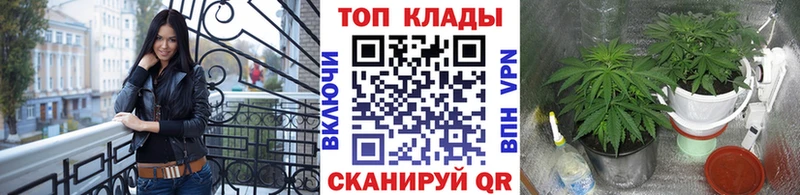 Наркошоп купить АМФЕТАМИН  Галлюциногенные грибы  ГАШ  Меф  Каннабис  Alpha-PVP  Нефтекамск